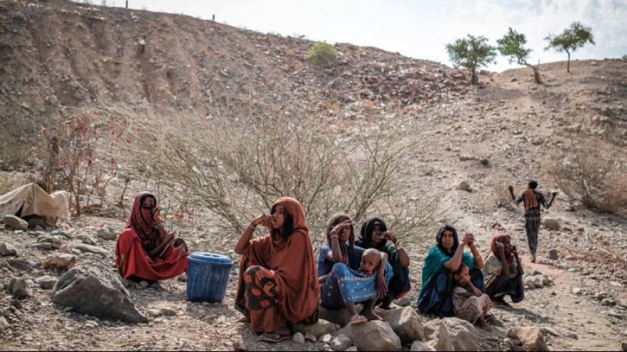 Une personne meurt de faim dans le monde toutes les quatre secondes ...